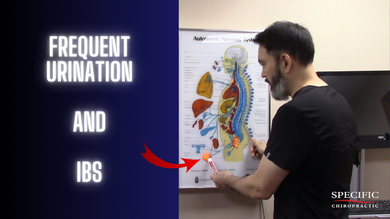 Frequent Urination At Night Nocturia And Ibs Specific Chiropractic