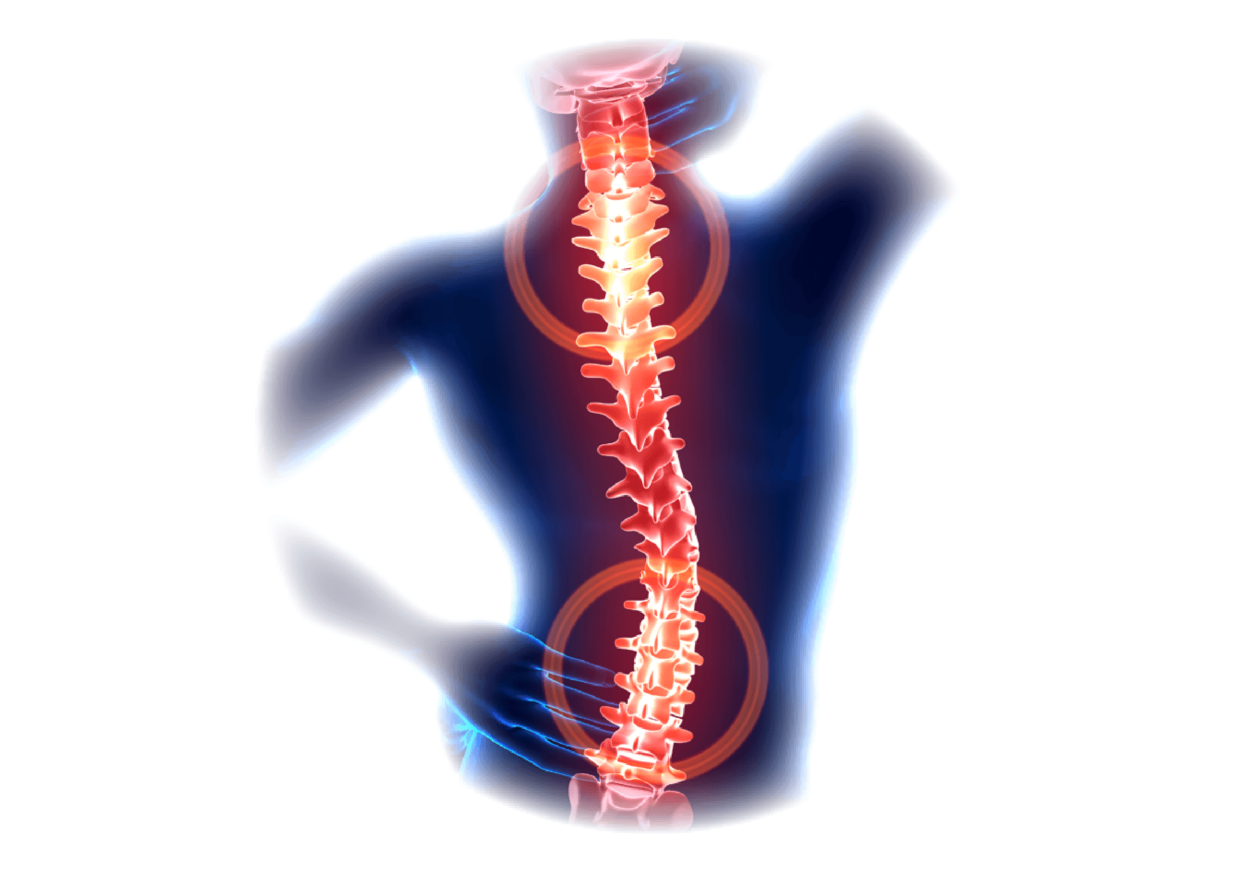 Spine | Specific Chiropractic